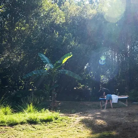 Quinta Estrada Romana - De Peregrinos *