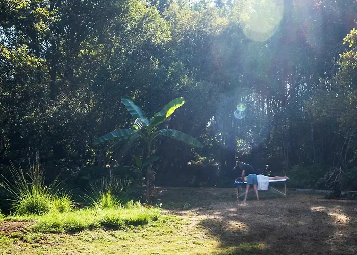 Quinta Estrada Romana - De Peregrinos *